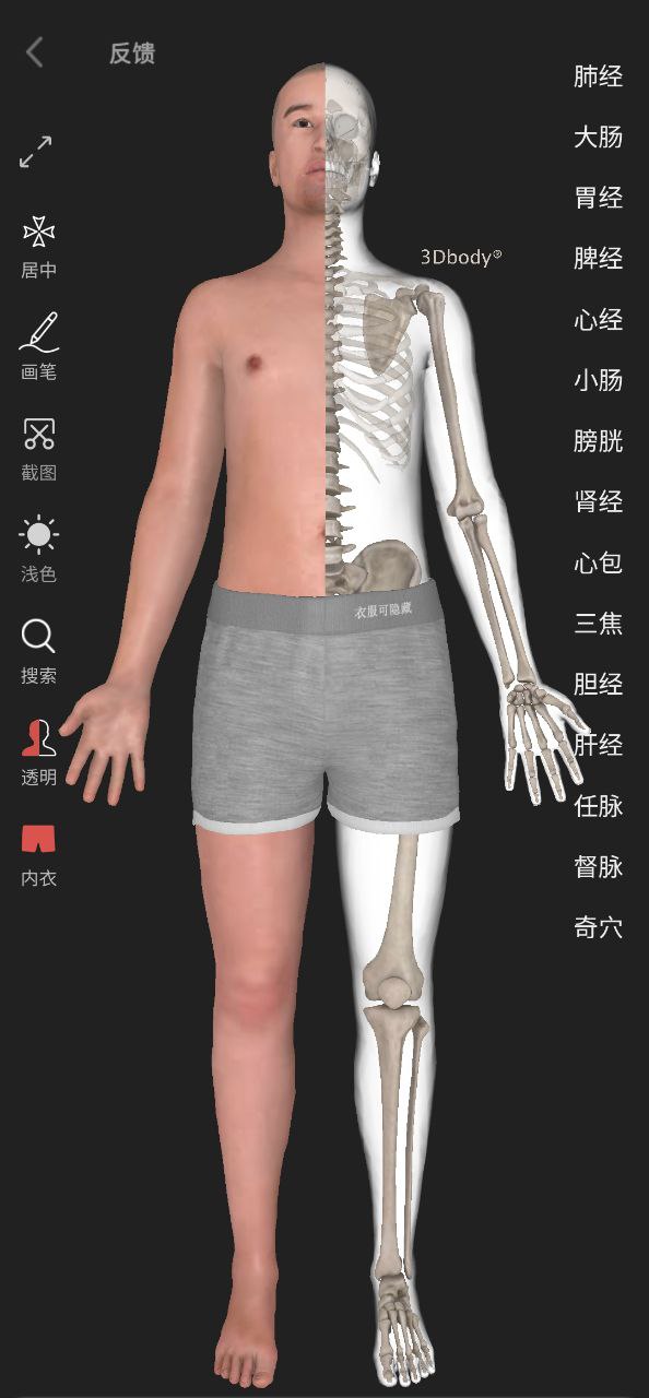 3dbody解剖