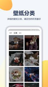 pptv聚力2025