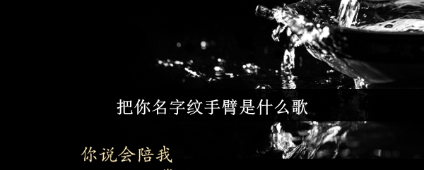 《抖音》把你的名字纹在手臂上的歌曲是什么？