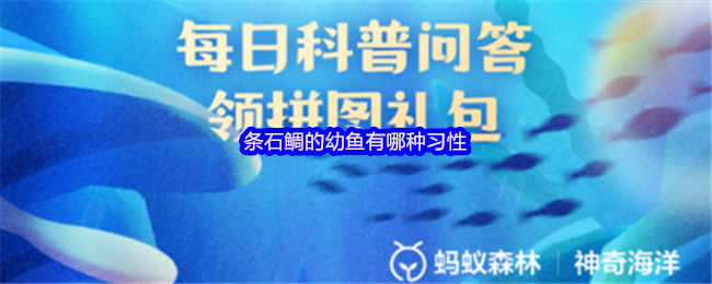 《支付宝》条石鲷幼鱼的习性探秘